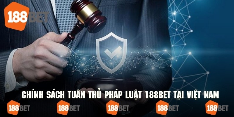 Các điều khoản quan trọng trong chính sách tuân thủ pháp luật