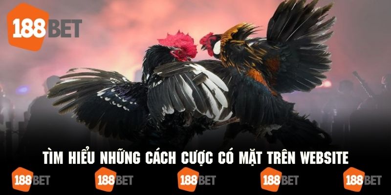 Loại hình cá cược thịnh hành được săn đón trên website
