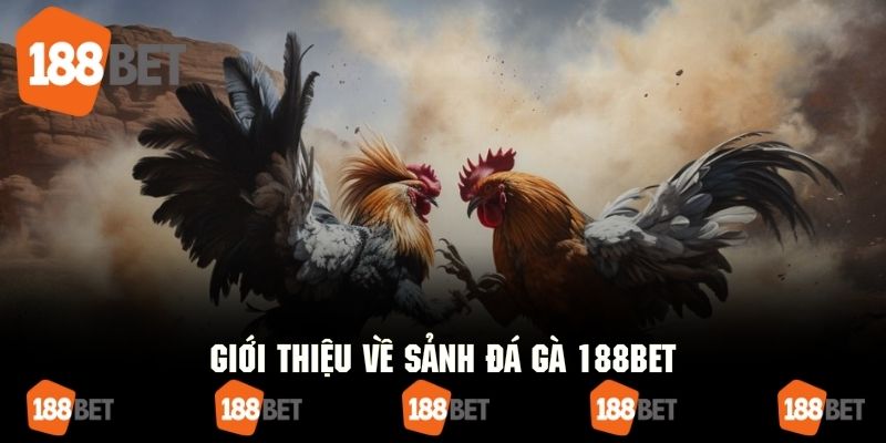 Tổng quan những đặc điểm chung về sảnh đá gà 188bet